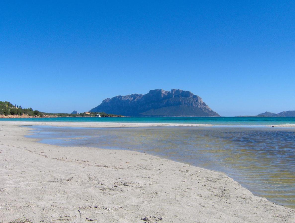 Il Mare Di Olbia Holiday Apartment Екстериор снимка
